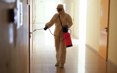 A sanitização elimina microrganismos nocivos de superfícies diversas