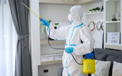 Garanta um ambiente seguro para seus clientes após o lockdown com a sanitização