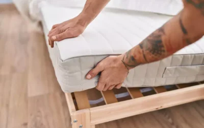 Como saber se há percevejos de cama em seu quarto no Rio de Janeiro