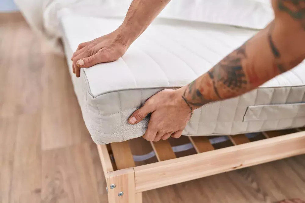 Como saber se há percevejos de cama em seu quarto no Rio de Janeiro Como saber se há percevejos de cama em seu quarto no Rio de Janeiro