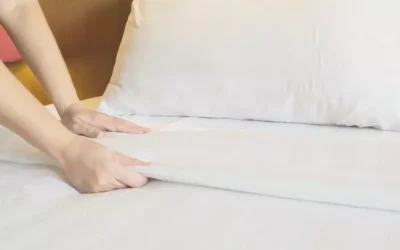 Métodos definitivos de dedetização de percevejo de cama para hotéis do RJ