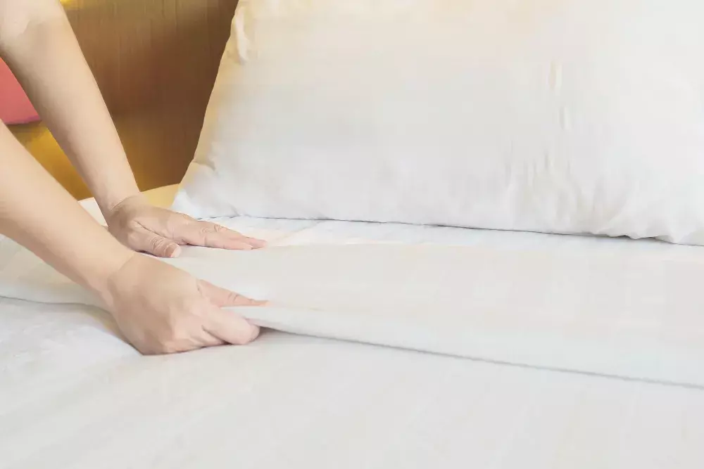 Métodos definitivos de dedetização de percevejo de cama para hotéis do RJ