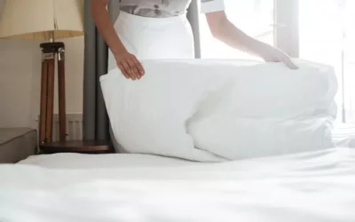 Orçamento: preço do serviço de dedetização de percevejo de cama no Rio de Janeiro