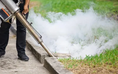 Controle de mosquitos para condomínios: como reduzir focos antes das chuvas
