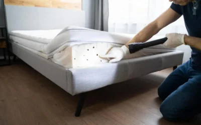 Percevejo de cama em apartamentos no RJ: como identificar e eliminar com segurança